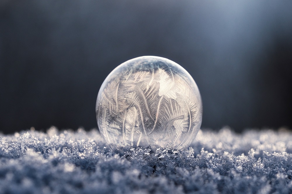 Does Mold Die in the Winter or in Cold? Education Updates